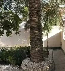 فيلا للايجار في الرفاع Villa for rent