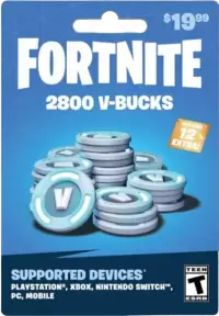 فورت نايت فى الجنوبية